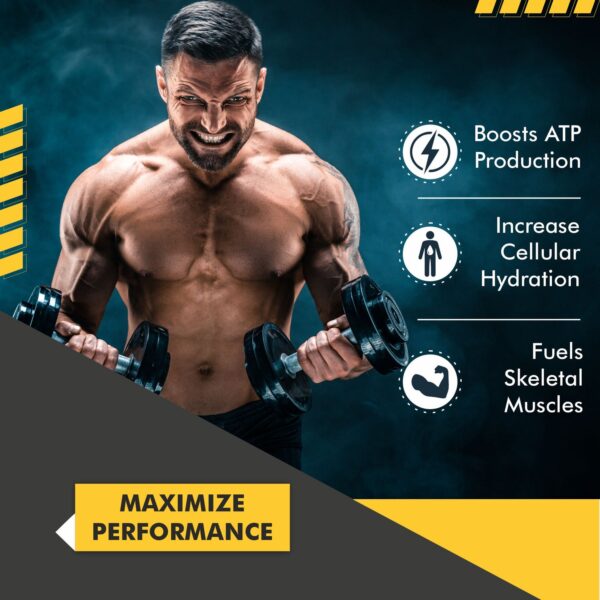 Vitaminnica  Creatine Monohydrate Powder UNFLAVOURED